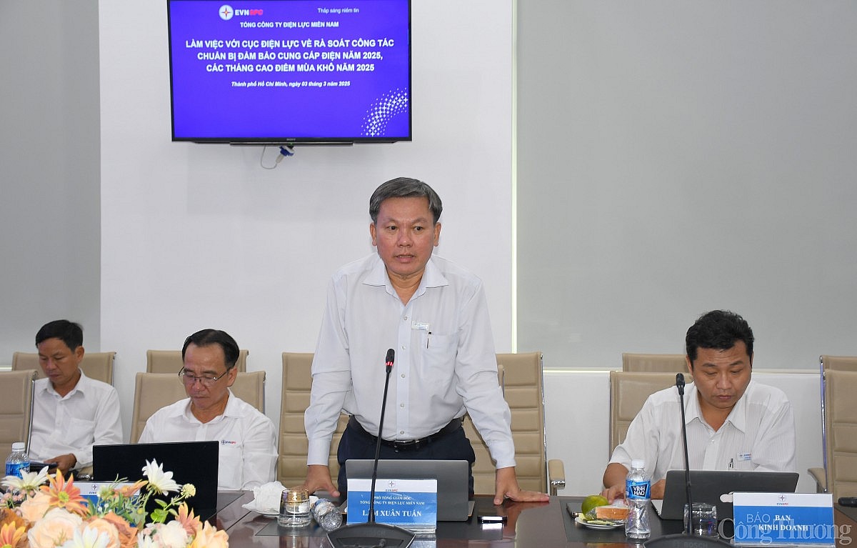 Bộ Công Thương làm việc với Điện lực miền Nam về đảm