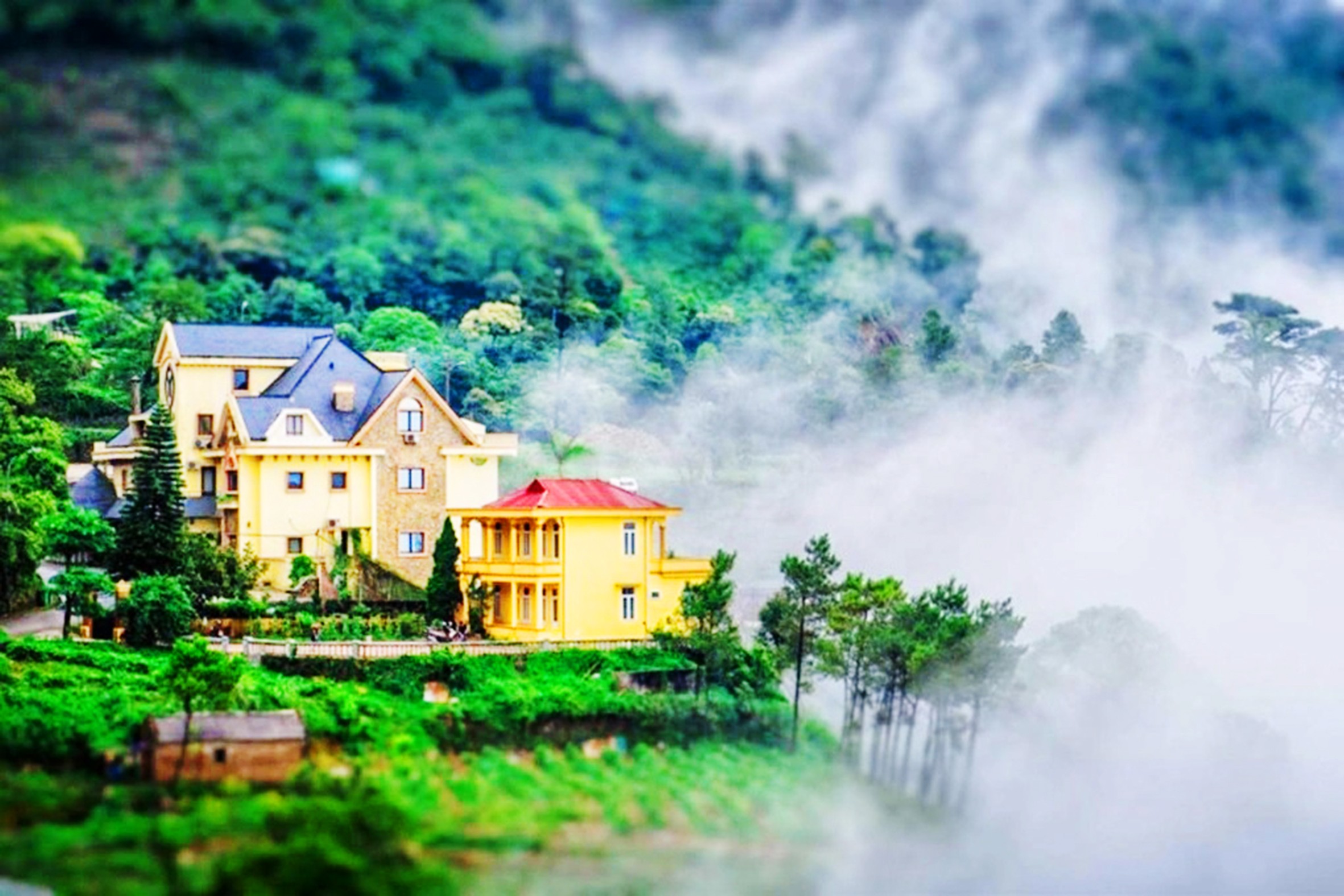 Tam Đảo - Chốn bồng lai giữa lưng chừng mây