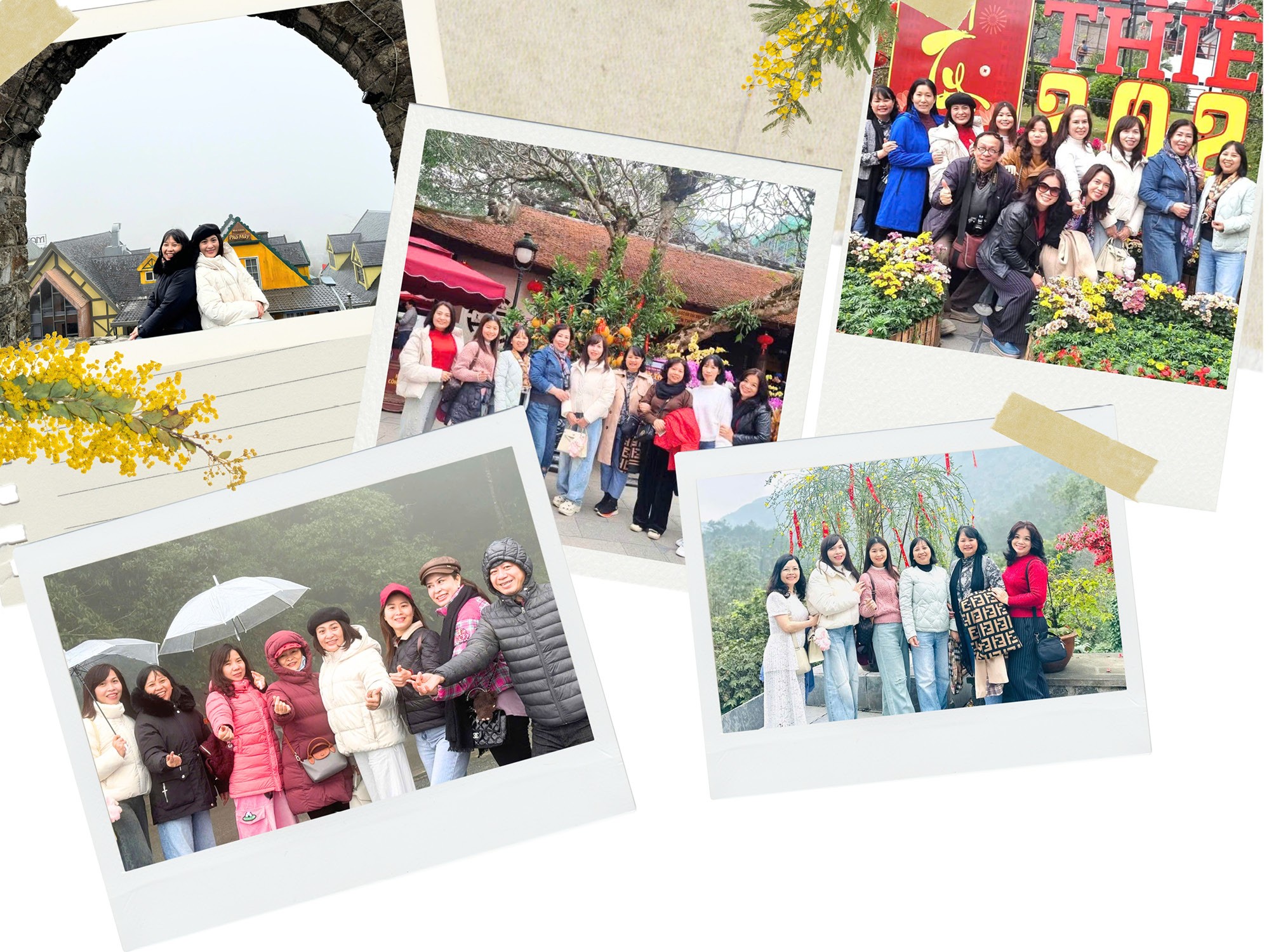 Tam Đảo - Chốn bồng lai giữa lưng chừng mây