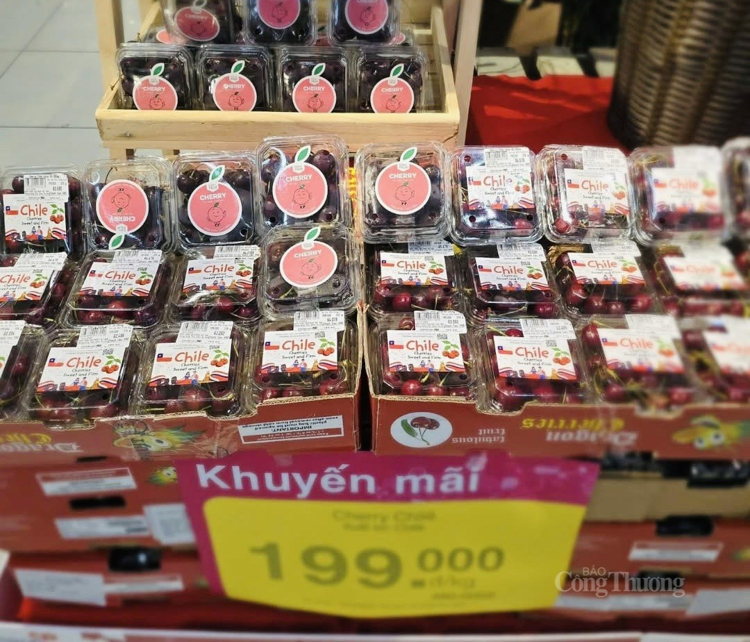 Cherry Chile đang có mức giá mềm đến bất ngờ. Ảnh: Nguyễn Vân