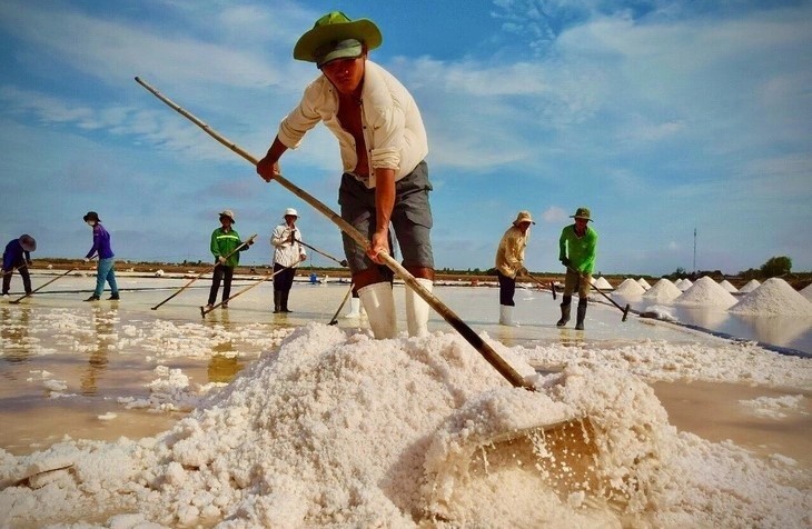 Tôn vinh Thương hiệu muối Bạc Liêu