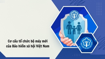 Infographic | Cơ cấu tổ chức mới Bảo hiểm xã hội Việt Nam