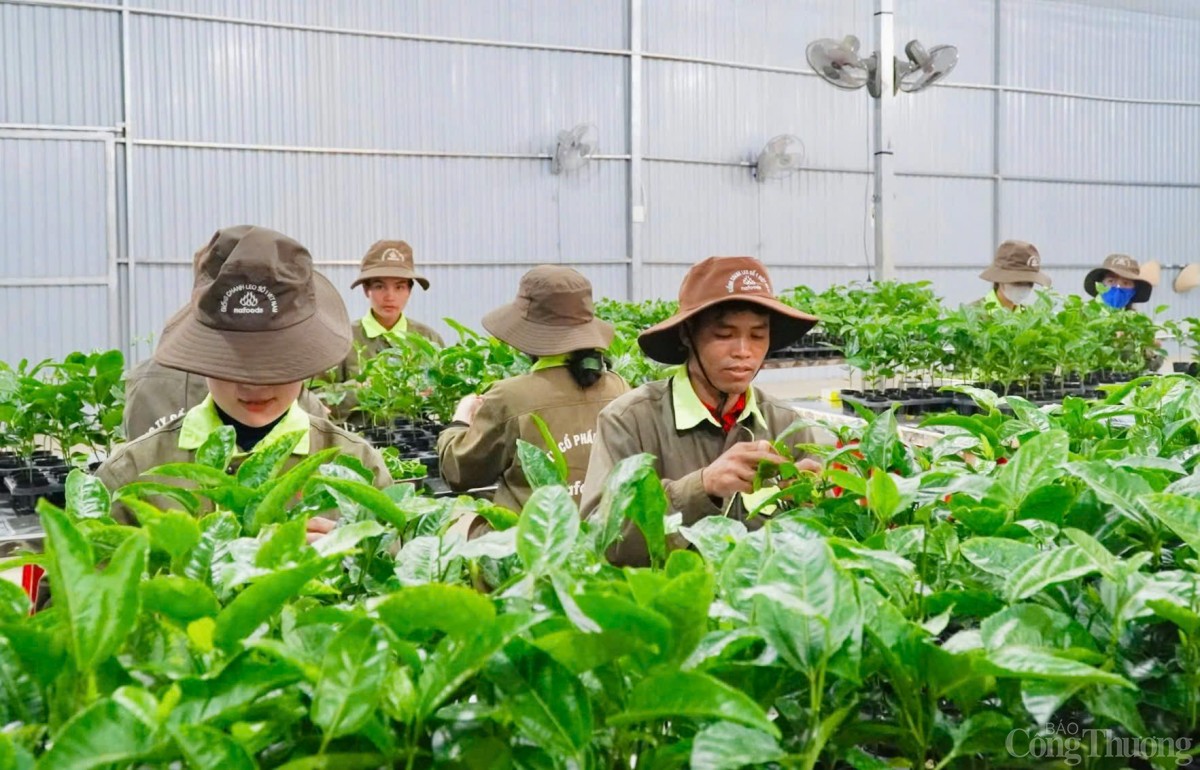 Gia lai đón nhà đầu tư vào các lĩnh vực trọng điểm