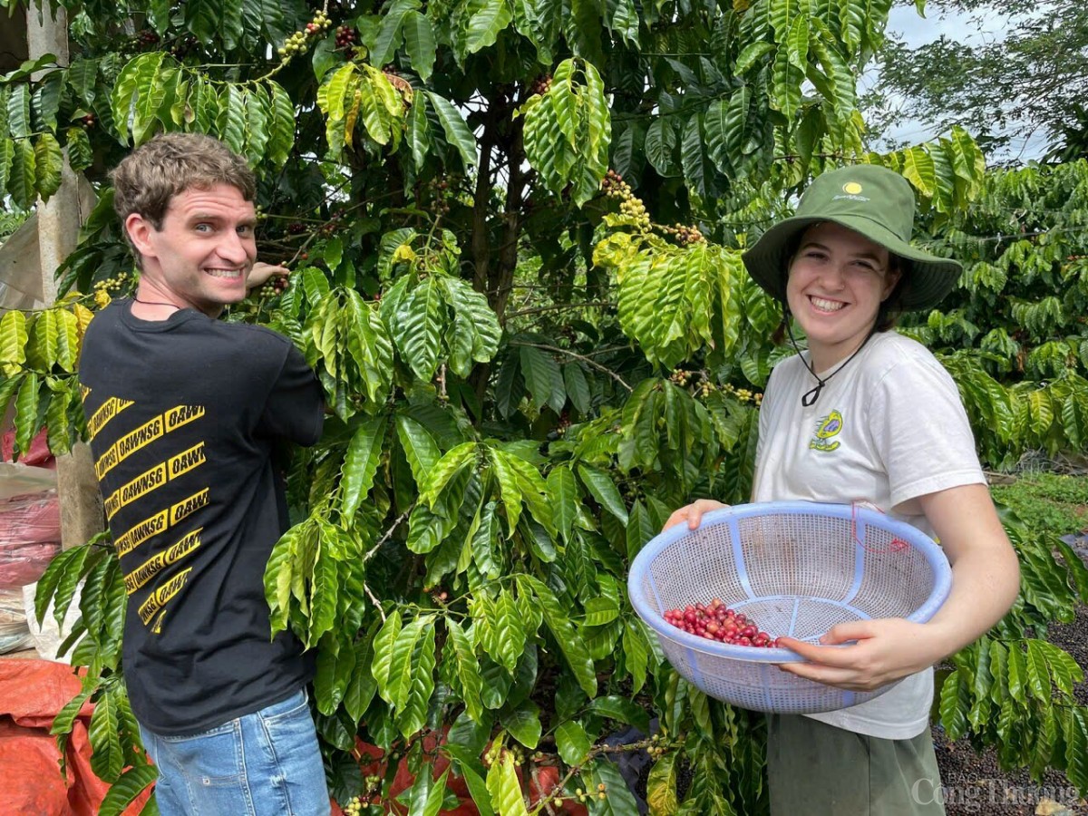 Gia lai đón nhà đầu tư vào các lĩnh vực trọng điểm
