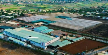 Gia Lai đón nhà đầu tư vào các lĩnh vực trọng điểm