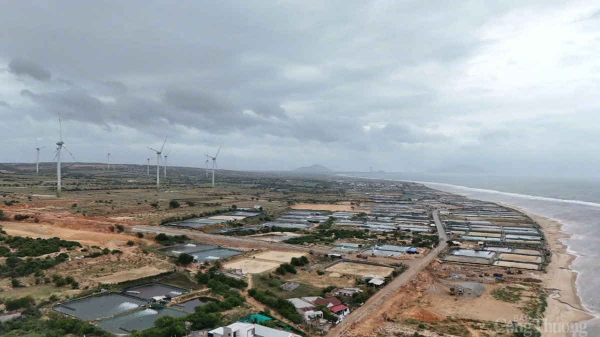 Ninh Thuận khôi phục thực hiện Dự án điện hạt nhân Ninh Thuận khôi phục thực hiện Dự án điện hạt nhân