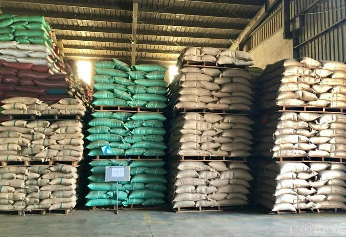 Gia Lai tăng cường liên kết để dịch vụ logistics ‘cất cánh’