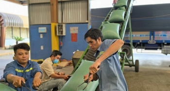 Gia Lai tăng cường liên kết để dịch vụ logistics ‘cất cánh’