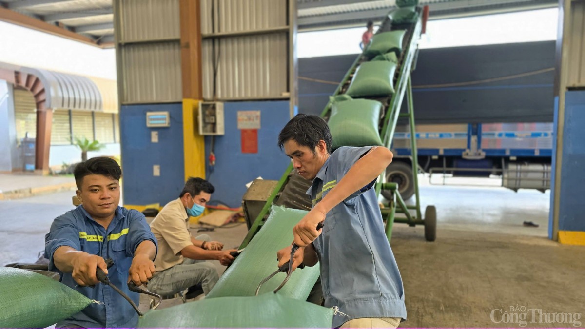 Gia Lai tăng cường liên kết để dịch vụ logistics ‘cất cánh’