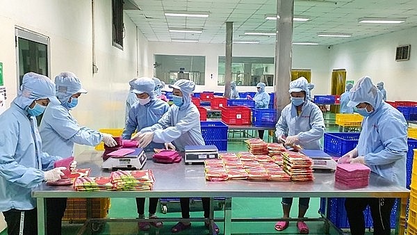 Thủ tục công bố hợp quy đang gây khó cho doanh nghiệp. Ảnh minh họa Thủ tục công bố hợp quy đang gây khó cho doanh nghiệp. Ảnh minh họa