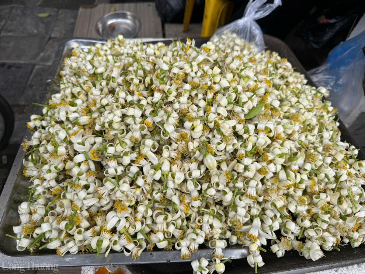 Những bông hoa rời phục vụ cho công dụng làm đẹp, nấu nướng hay ướp chè, được bán với giá 10.000 đồng/lạng.