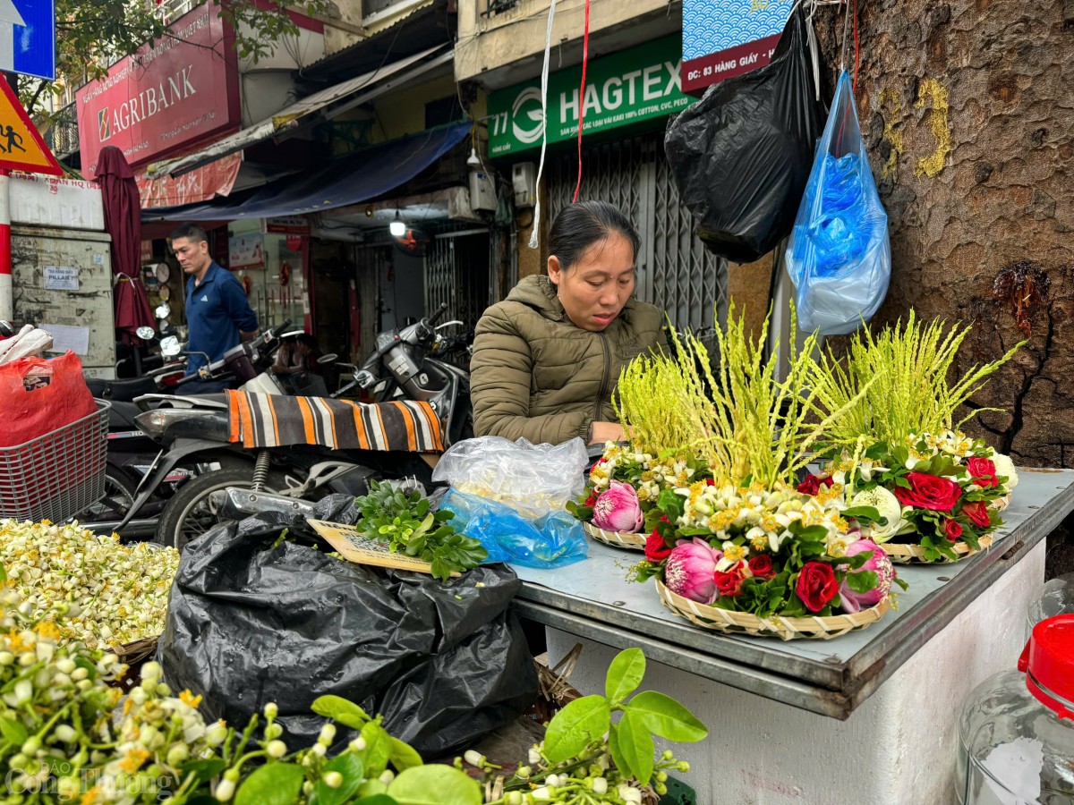 Những năm gần đây loại hoa này xuất hiện khắp phố phường, phủ sóng từ chợ truyền thống tới “chợ mạng”.