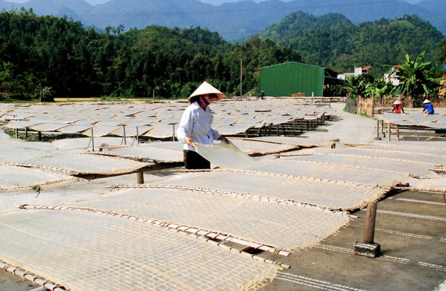 Xây dựng thương hiệu miến dong Bắc Kạn Xây dựng thương hiệu miến dong Bắc Kạn