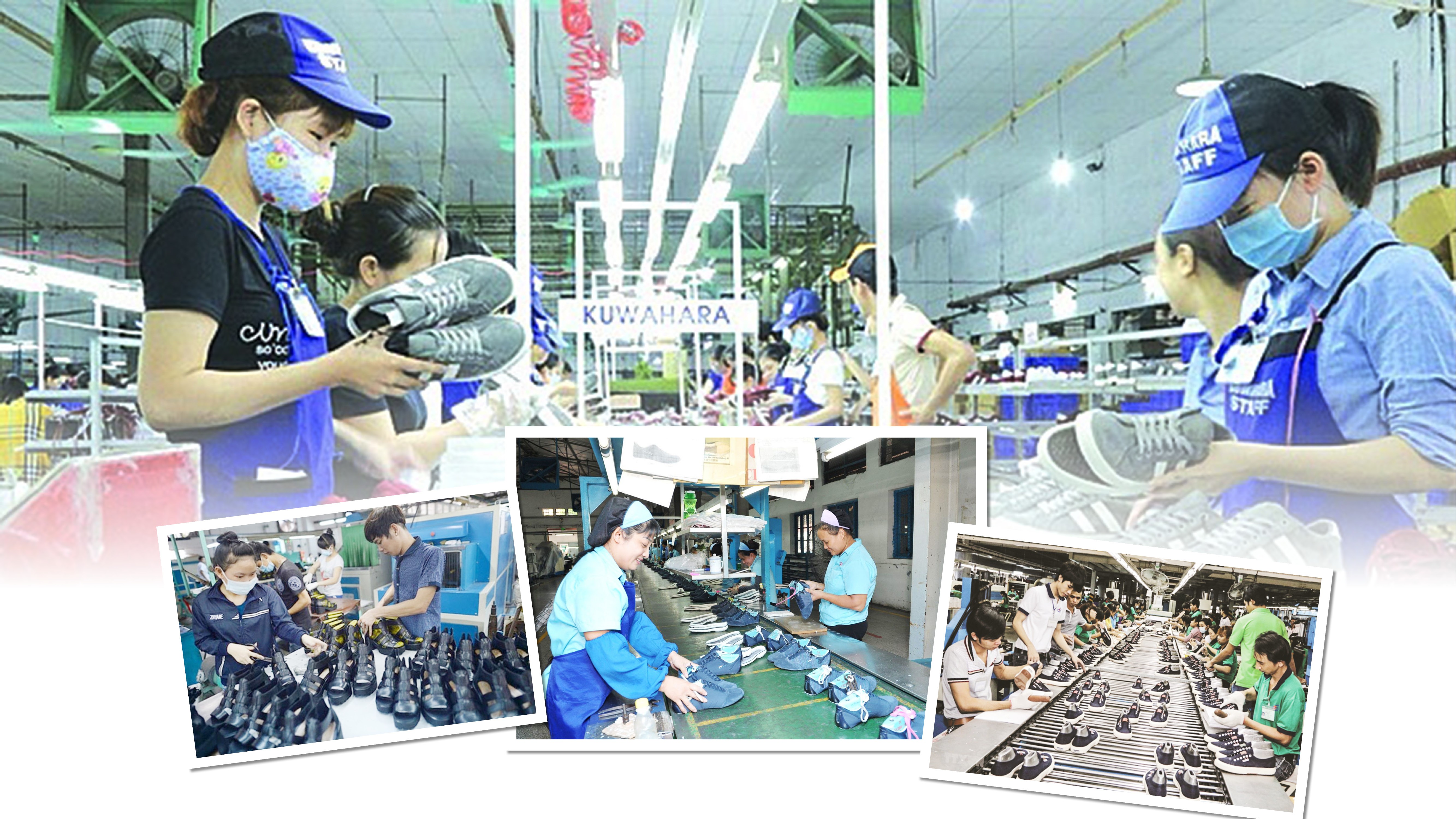 Hai màu sáng - tối trong bức tranh xuất khẩu da giày