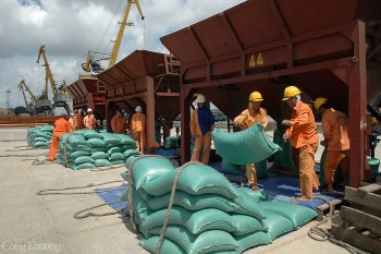 Bộ Công Thương thành lập đoàn kiểm tra liên ngành về xuất khẩu gạo
