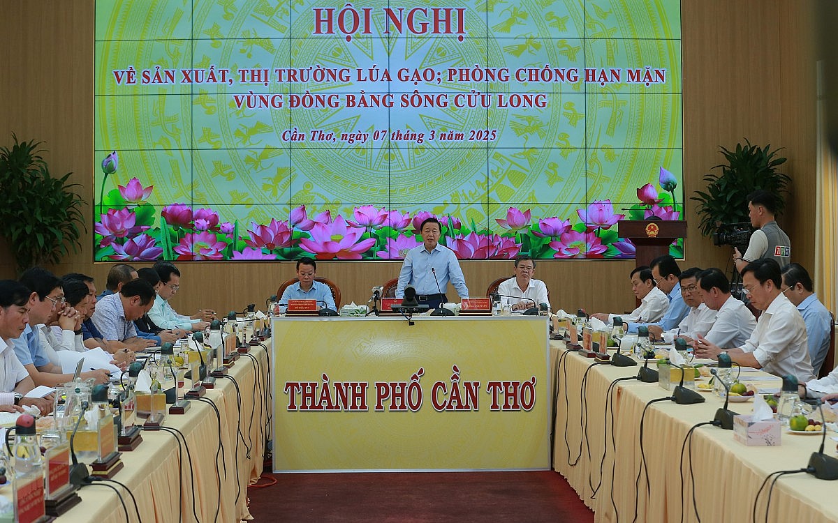 Phó Thủ tướng nêu chỉ tiêu sửa Nghị định 107