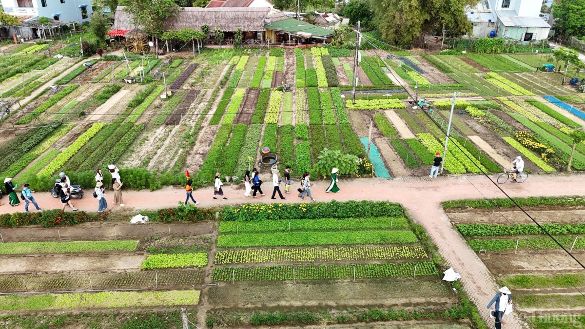 Các chuyên gia du lịch, đơn vị lữ hành trong nước và quốc tế cũng sẽ được trải nghiệm chương trình khảo sát “Cung đường Di sản Hội An – Mỹ Sơn – Cổng trời Đông Giang