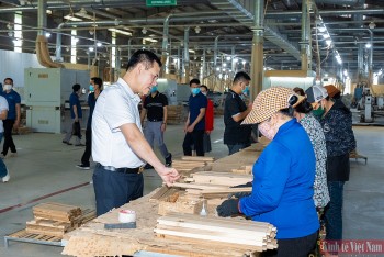 Thách thức bủa vây, làm gì để xuất khẩu gỗ đạt 18 tỷ USD?