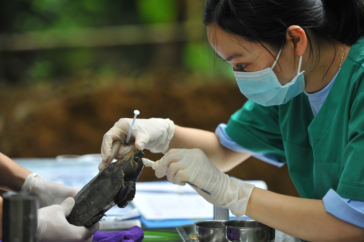 Cúc Phương, xứng danh vườn quốc gia hàng đầu Châu Á