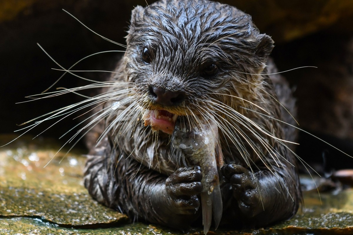 Cúc Phương, xứng danh vườn quốc gia hàng đầu Châu Á