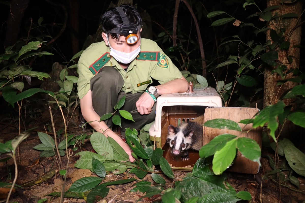 Cúc Phương, xứng danh vườn quốc gia hàng đầu Châu Á