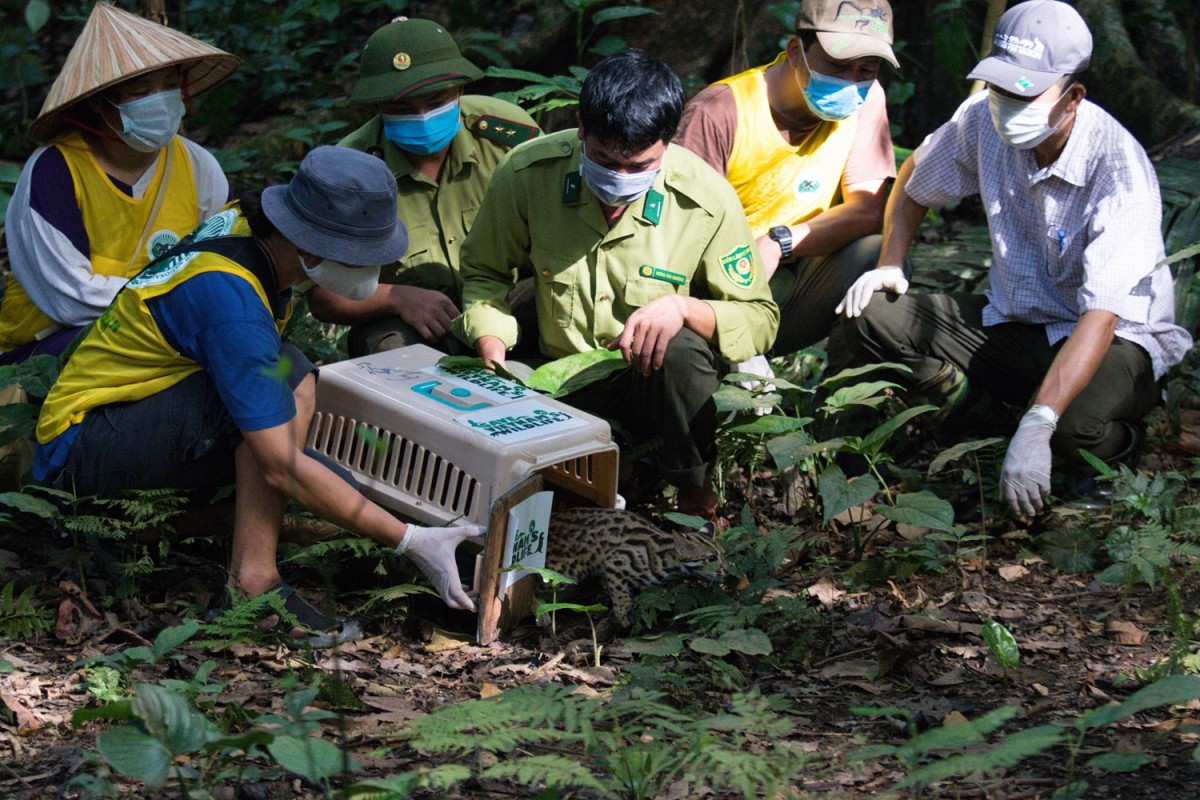 vườn quốc gia cúc phương