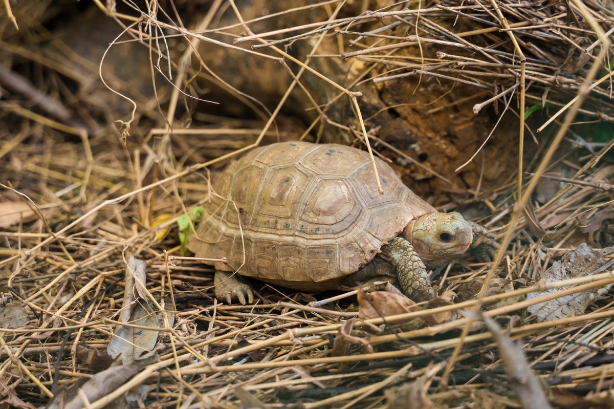 Cúc Phương, xứng danh vườn quốc gia hàng đầu Châu Á