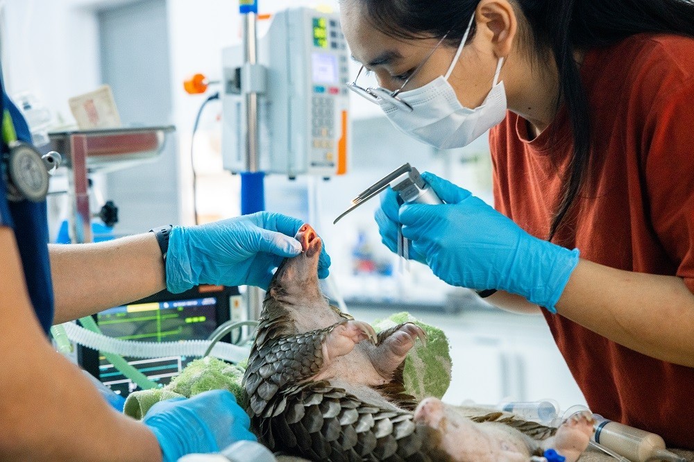 Cúc Phương, xứng danh vườn quốc gia hàng đầu Châu Á