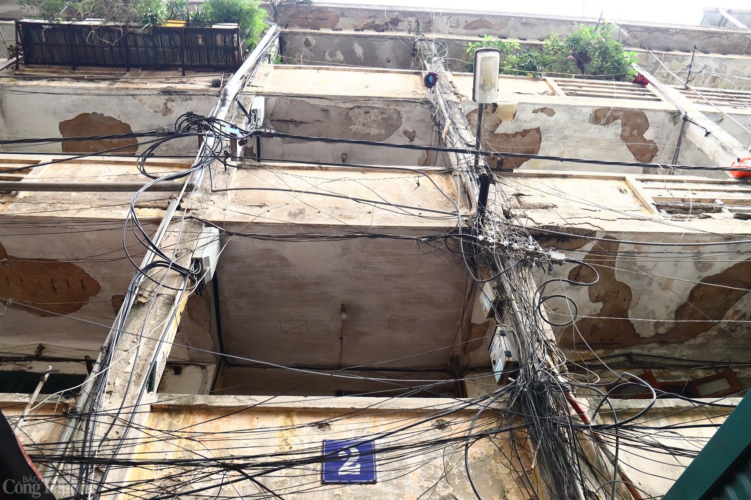 tập thể tập thể