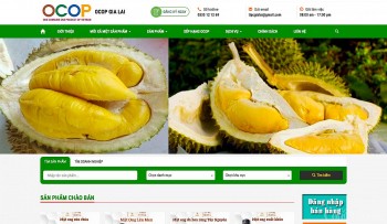 Thương mại điện tử ‘chắp cánh’ nông sản Gia Lai vươn xa