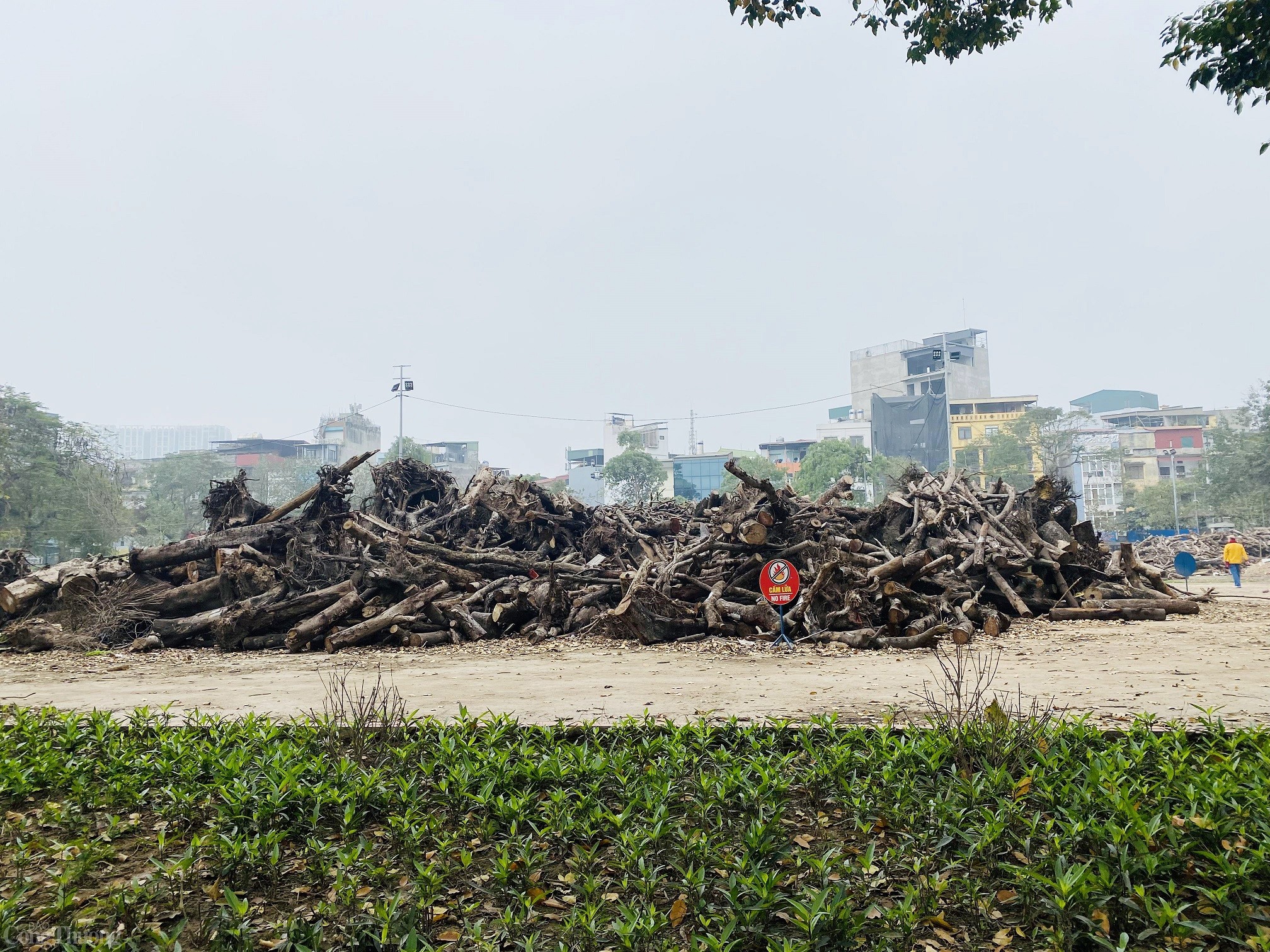 Liệu Công viên Tuổi trẻ Thủ đô có ‘lột xác’ sau khi