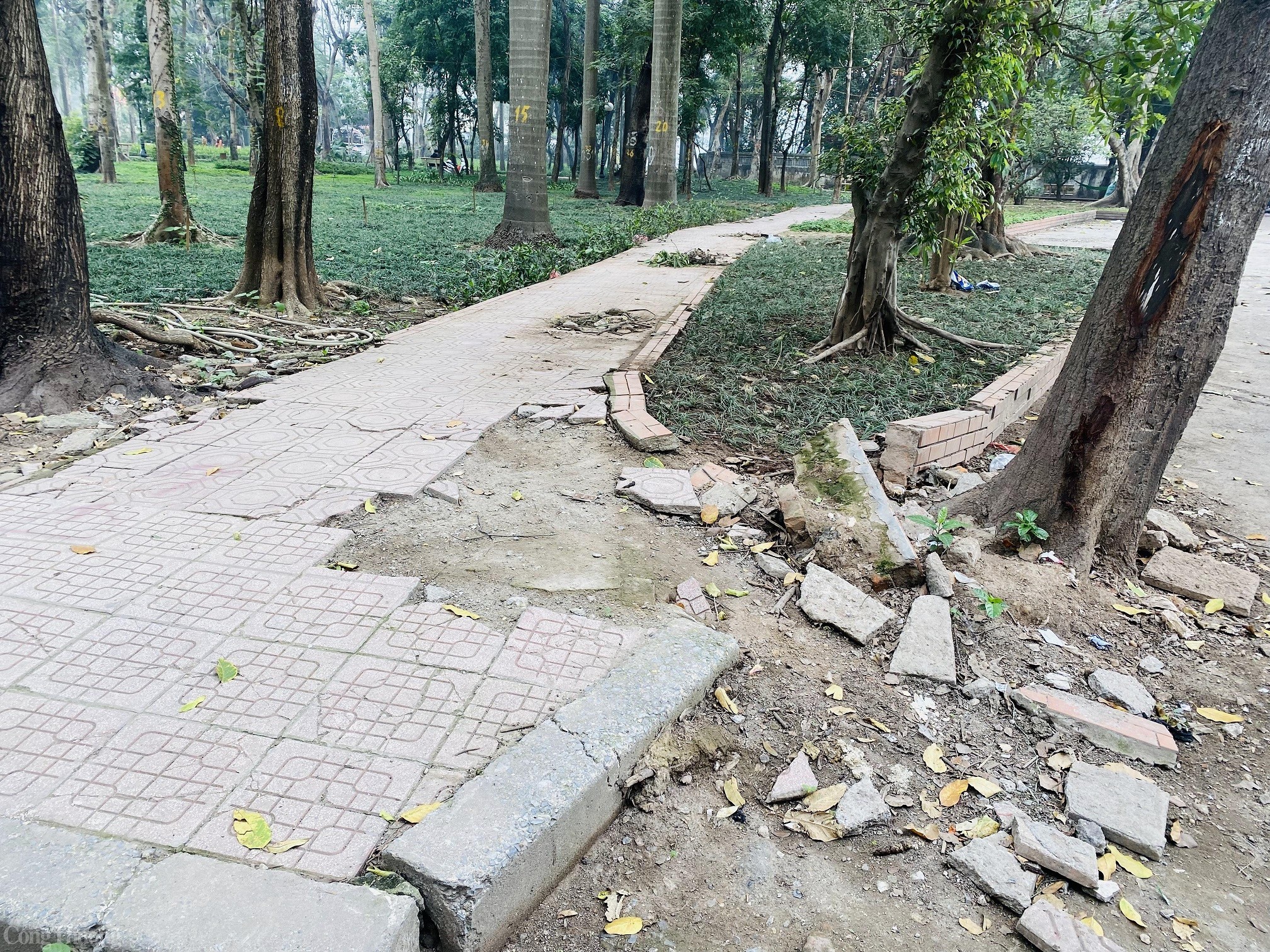 Liệu Công viên Tuổi trẻ Thủ đô có ‘lột xác’ sau khi