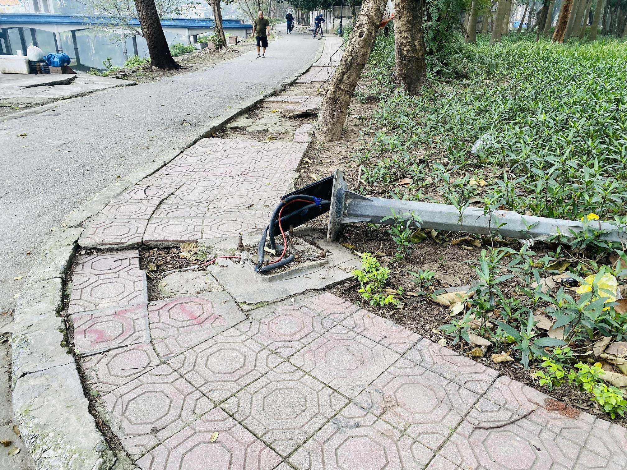 Liệu Công viên Tuổi trẻ Thủ đô có ‘lột xác’ sau khi