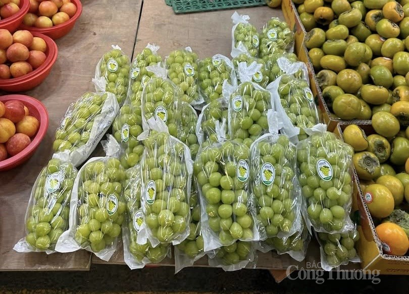 Dù không chính vụ nhưng nho sữa vẫn dồi dào. Ảnh: Nguyễn Thanh Dù không chính vụ nhưng nho sữa vẫn dồi dào. Ảnh: Nguyễn Thanh