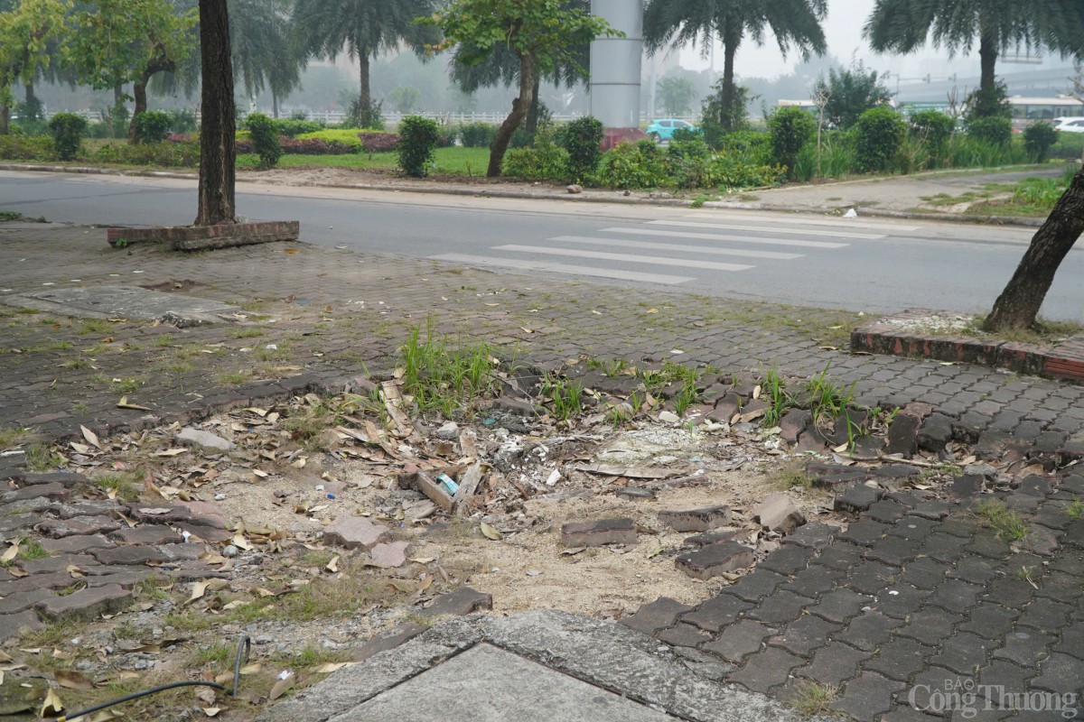 Hà Nội: Nhiều vỉa hè nghi bị cày xới