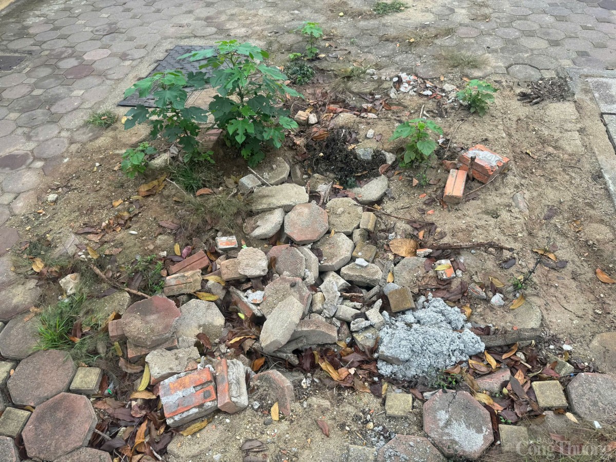 Hà Nội: Nhiều vỉa hè xuống cấp, nghi bị 'cày xới'?