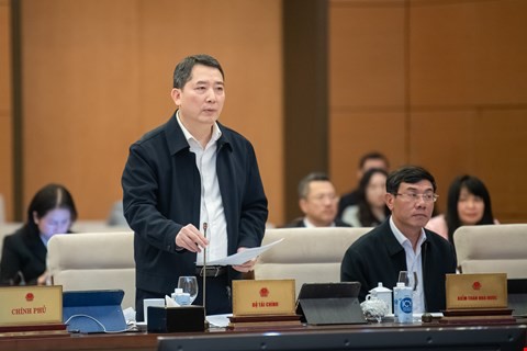 undefined Thứ trưởng Bộ Tài chính Cao Anh Tuấn