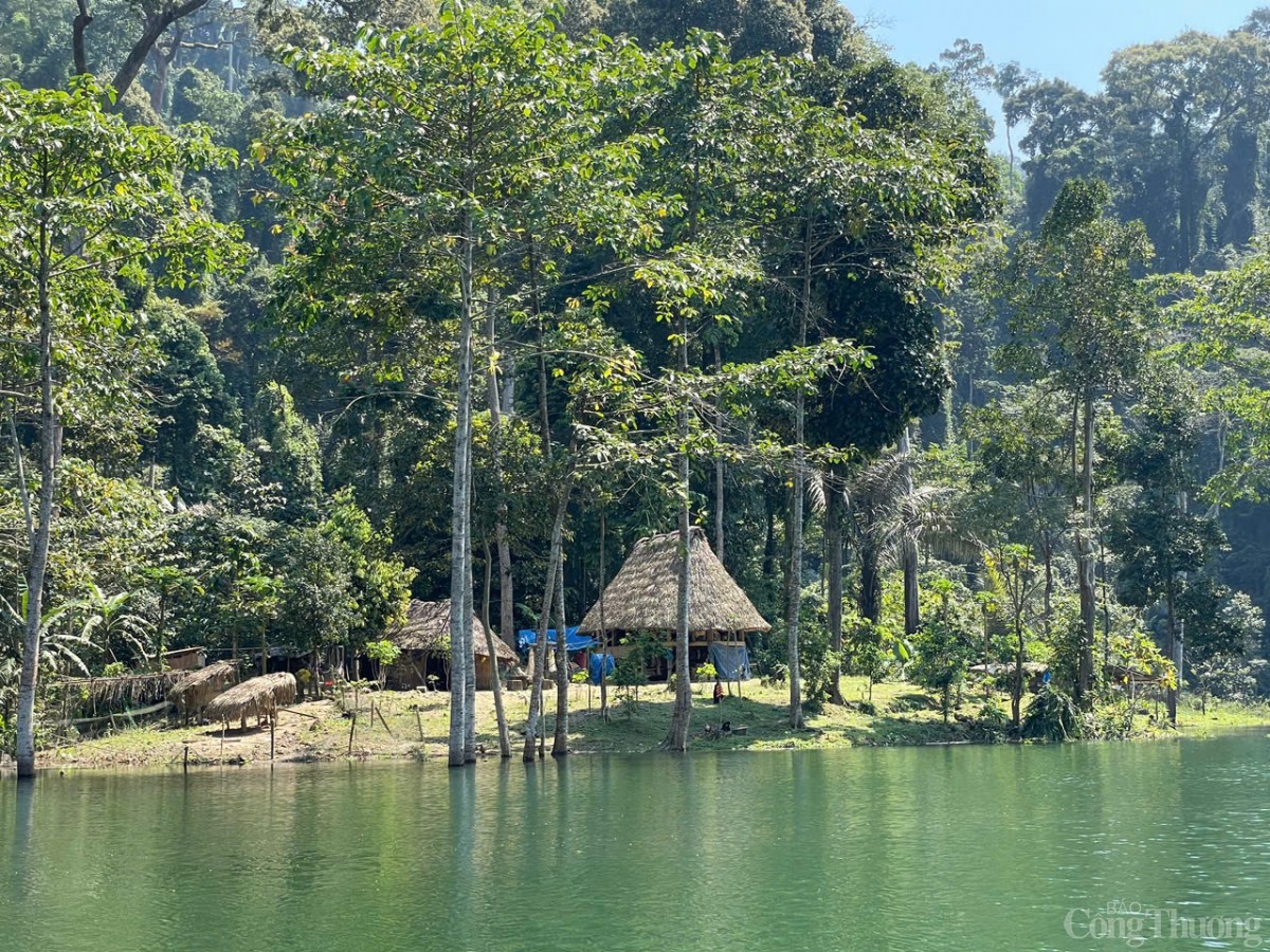 Để đảm bảo siết chặt công tác bảo vệ rừng, những tổ bảo vệ rừng được dựng lên một cách vững chải (trong ảnh: Chốt bảo vệ rừng Dốc Mây) Để đảm bảo siết chặt công tác bảo vệ rừng, những tổ bảo vệ rừng được dựng lên một cách vững chải (trong ảnh: Chốt bảo vệ rừng Dốc Mây)