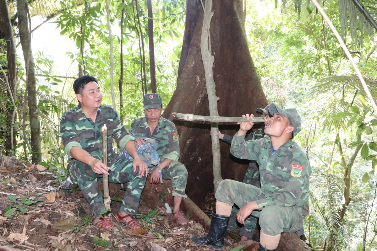 Bất kể gió mưa, nắng rát hay lễ Tết, các cán bộ bảo vệ rừng vẫn thường xuyên tuần tra, giám sát những cánh rừng già Bất kể gió mưa, nắng rát hay lễ Tết, các cán bộ bảo vệ rừng vẫn thường xuyên tuần tra, giám sát những cánh rừng già