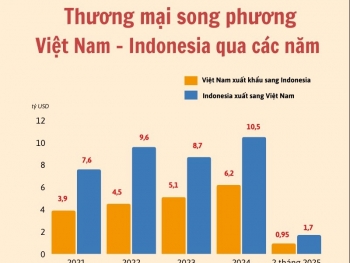 Infographic: Thương mại song phương Việt Nam - Indonesia qua các năm
