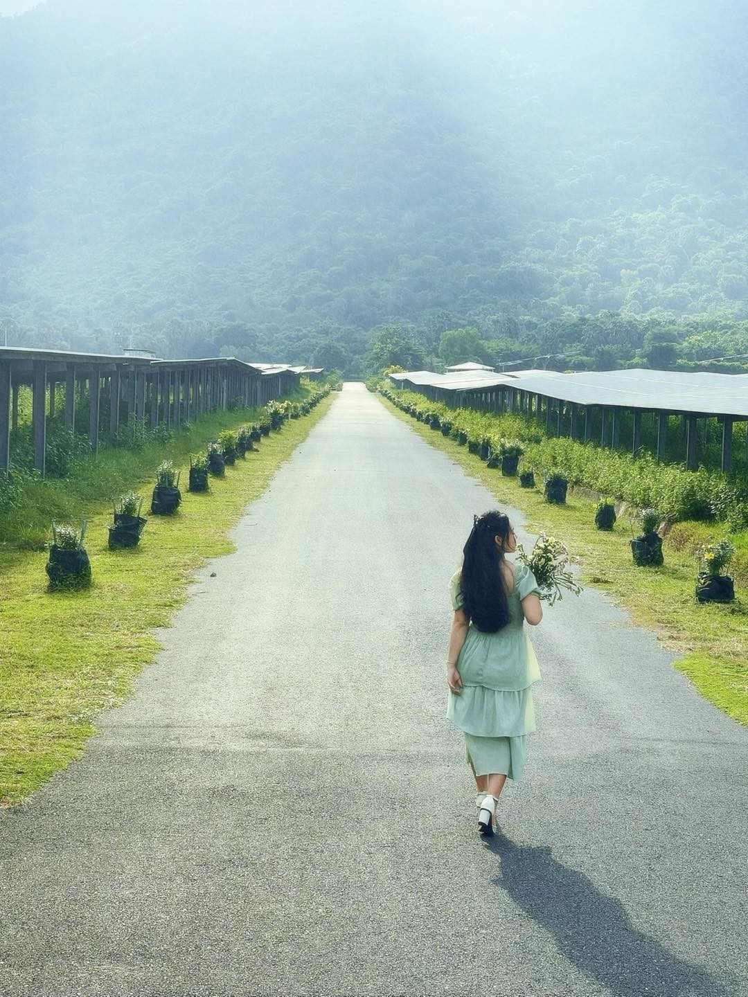 Định hình tương lai xanh hóa trên dãy Thất Sơn