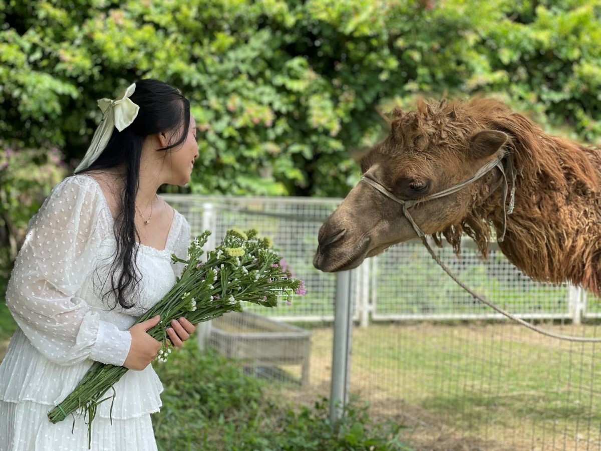 Định hình tương lai xanh hóa trên dãy Thất Sơn