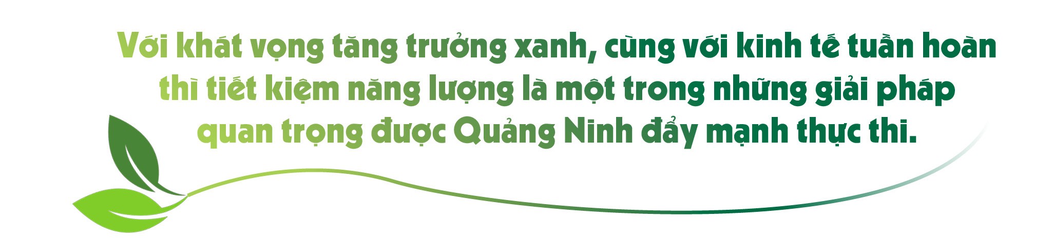 Chuyển dịch xanh cho tương lai xanh!