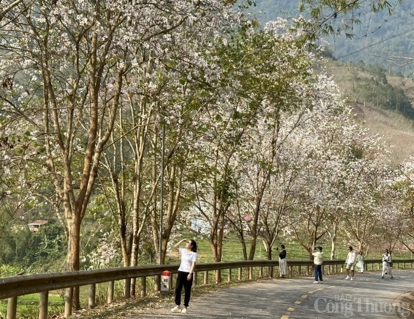 Điện Biên: Náo nức trước ngày hội lớn Điện Biên: Náo nức trước ngày hội lớn