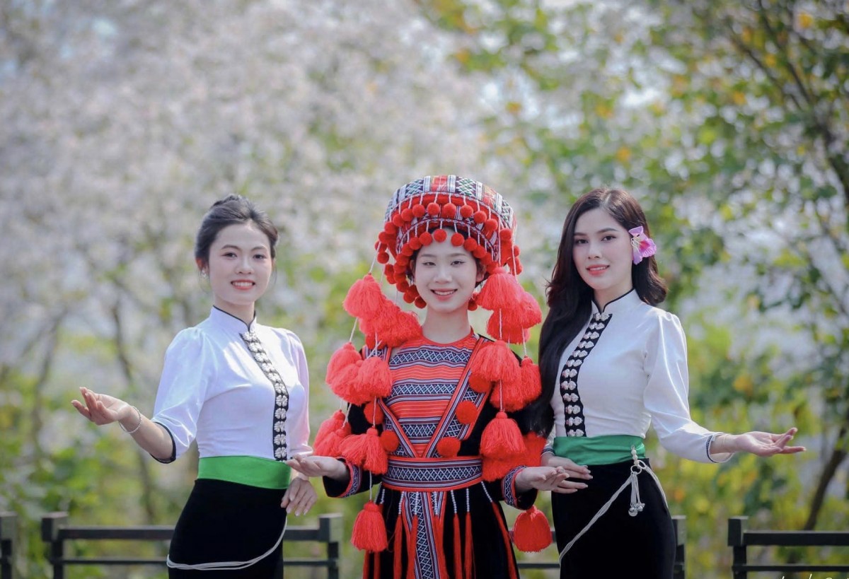 Biến Điện Biên thành "thủ phủ hoa ban" của cả nước Biến Điện Biên thành "thủ phủ hoa ban" của cả nước