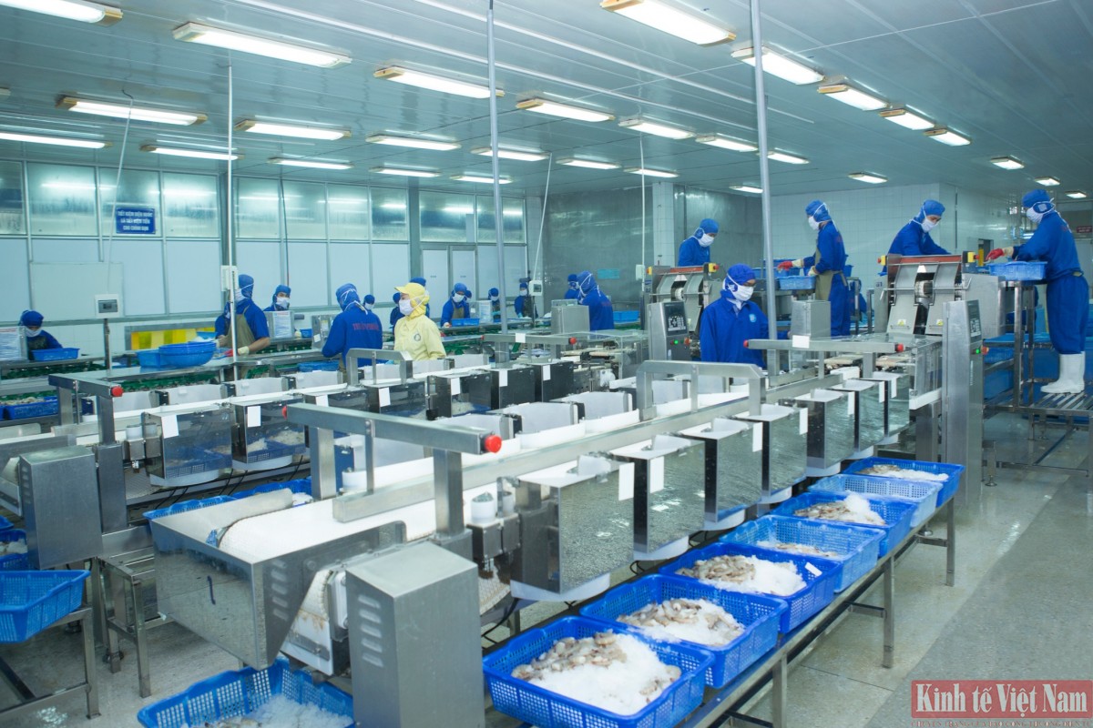 Các doanh nghiệp sản xuất tại Đà Nẵng nói riêng, cả nước nói chung còn gặp khó trong tiếp cận tín dụng xanh để đầu tư cho chuyển đổi xanh, chuyển đổi số Các doanh nghiệp sản xuất tại Đà Nẵng nói riêng, cả nước nói chung còn gặp khó trong tiếp cận tín dụng xanh để đầu tư cho chuyển đổi xanh, chuyển đổi số