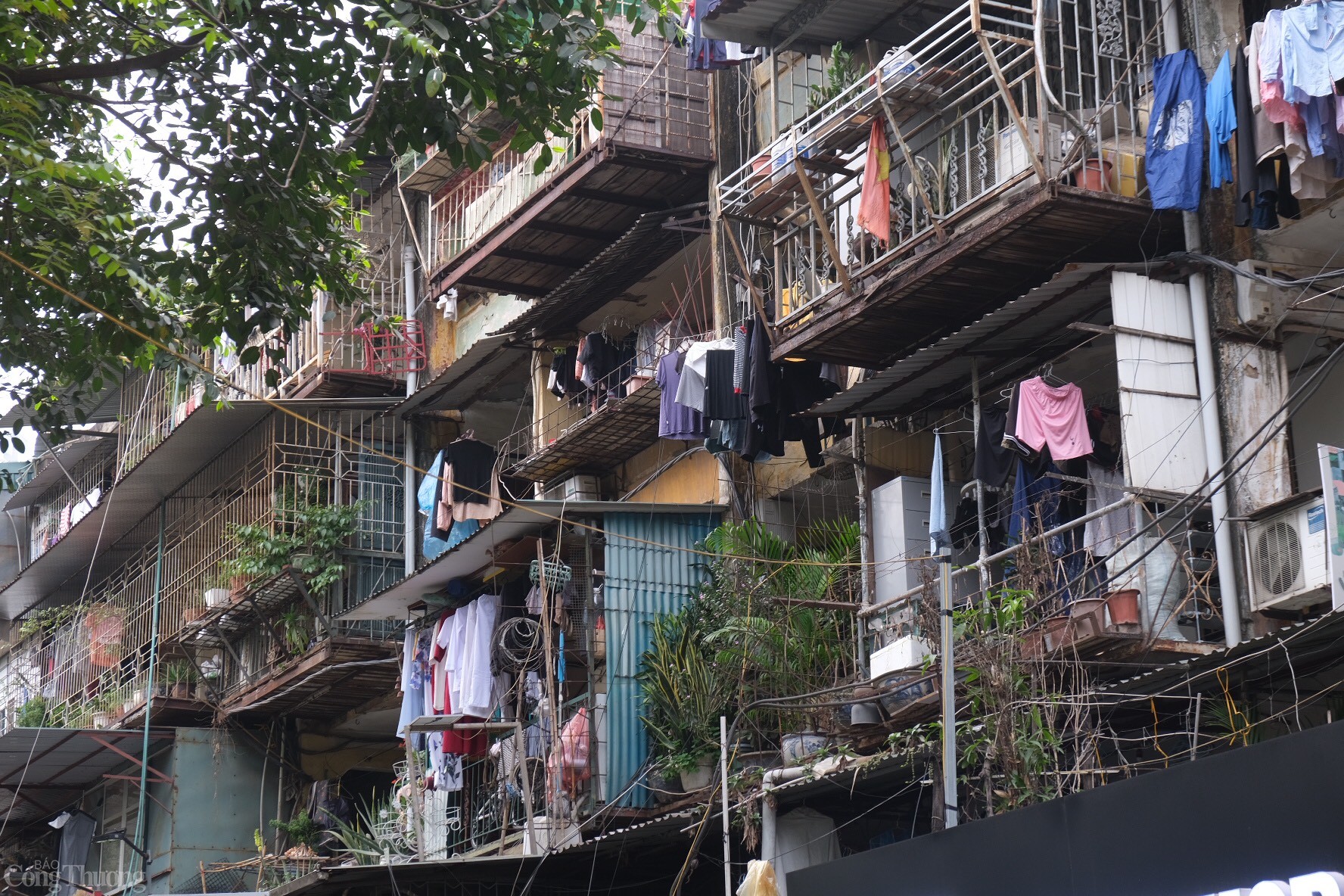 Theo phương án cải tạo, xây mới, khu chung cư cũ Thành Công sẽ được cho phép phát triển thành chung cư và nhà tái định cư với 40 tầng. 