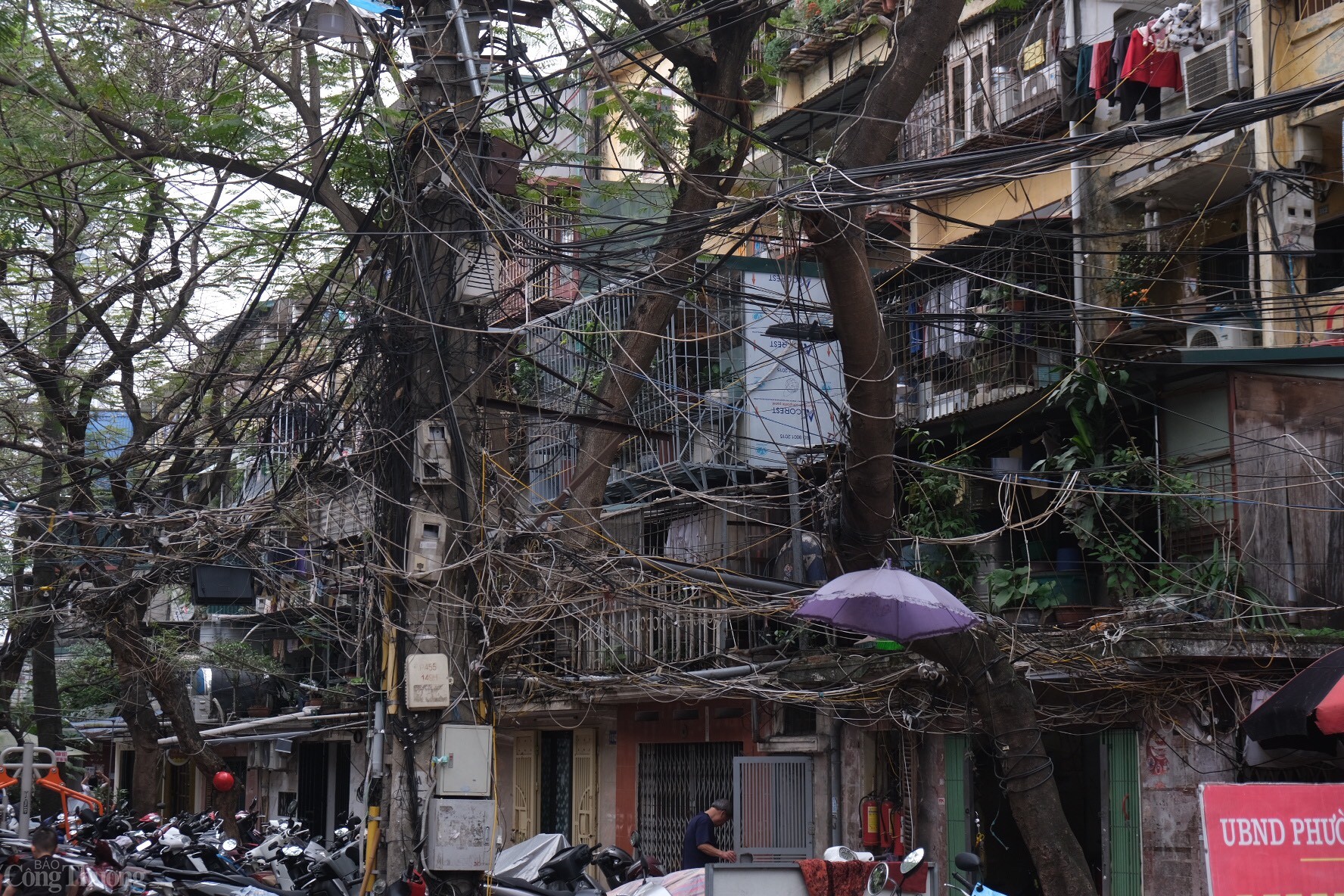 Dây điện chằng chịt tại khu chung cư cũ.