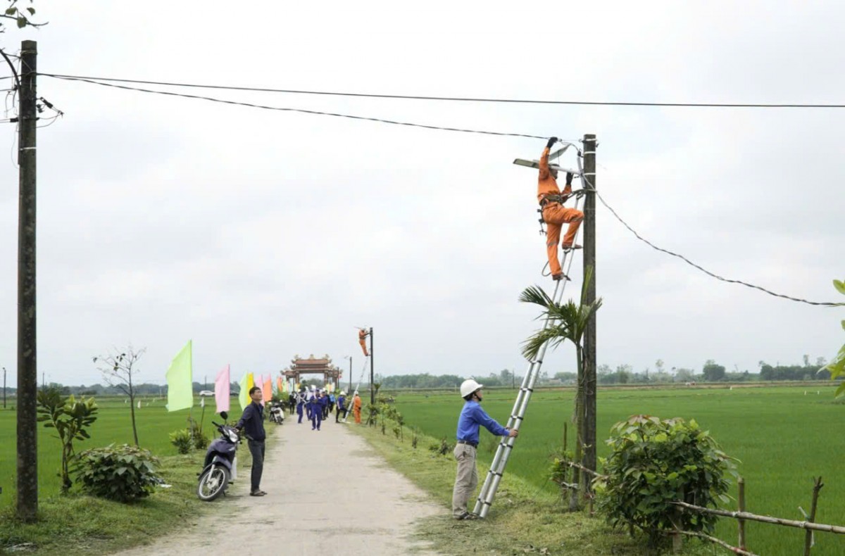 Nhiều hoạt động ý nghĩa của Thanh niên Điện lực Quảng Trị