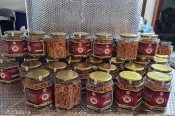 Tìm hướng đi bền vững cho “dược liệu quý” tại Điện Biên